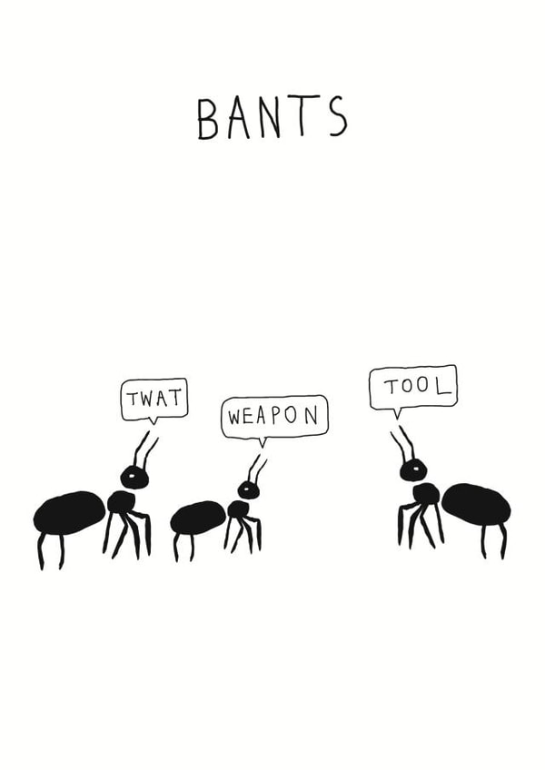 Bants! Alternative birthday card for those looking to send something different. created by Sean Miller