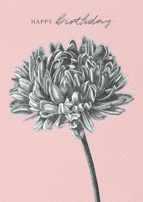 Aster Duchess Flower Birthday Card - Floral - Happy Birthday created by Lucy Francis