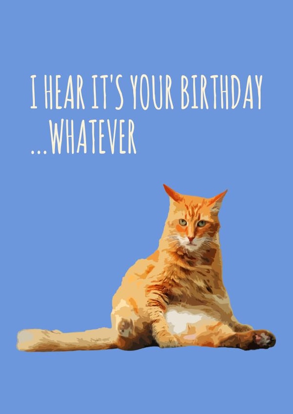 Funny birthday card for a friend or relative - Ginger tabby cat-Whatever created by Bubble Goes Pop