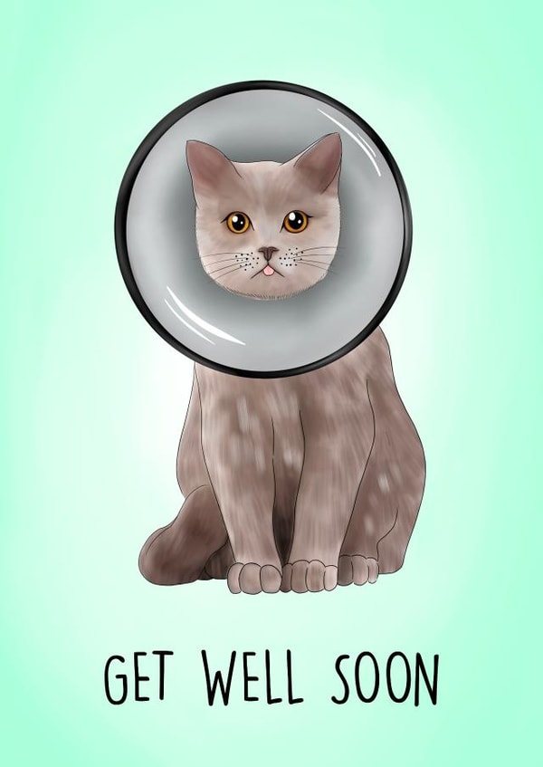 Cute Get well Card - cute cat in cone of shame created by Poppy & Mabel