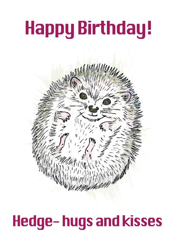 Cute Hedgehog birthday card created by Luke C