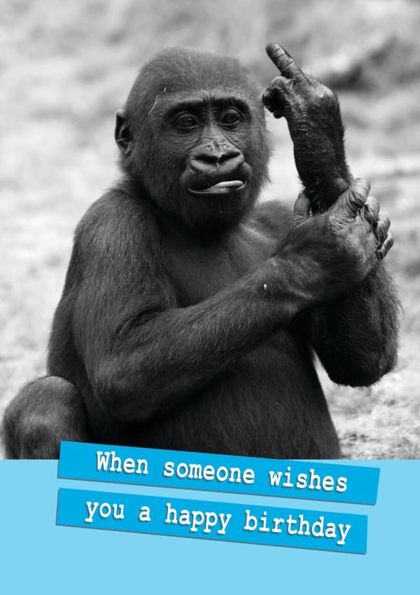 Funny Birthday Card - Monkey - Middle Finger created by Quitting Hollywood