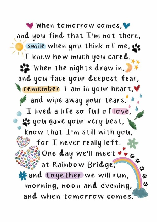 Rainbow Bridge Sympathy Pet Loss Card created by And You Can Quote Me