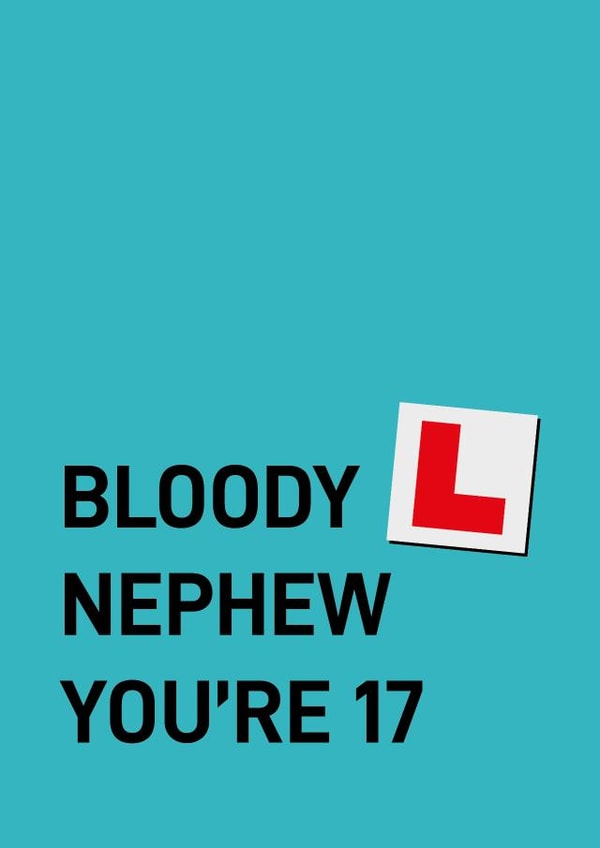 Cheeky Birthday Card - 17th - Nephew created by Quinton cards