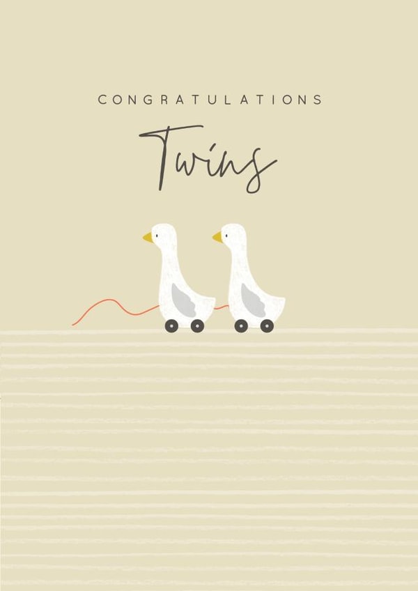 Modern/contemporary Twins card - ducks created by Laura Darrington Design Ltd.