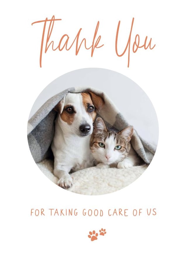 pet sitter Thank You Personalised Photo Card 20395 created by @hollielonglanddesigns