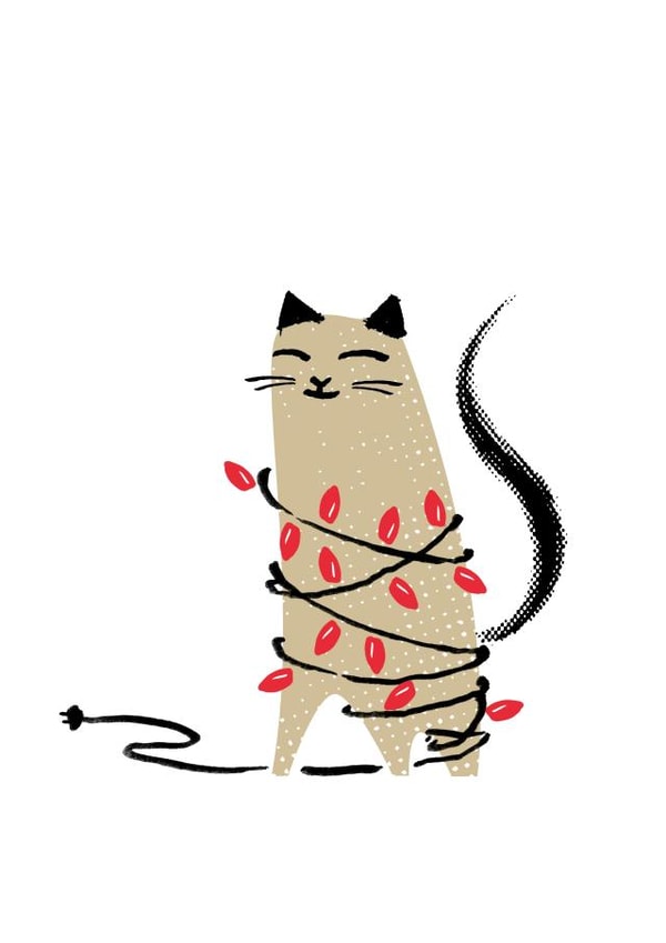 Cheeky Christmas Card - From the Cat - Fairy Lights created by Purpose & Worth etc