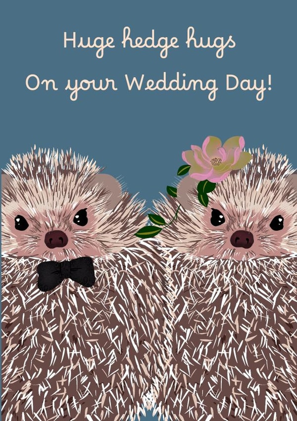 Cute Wedding card for animal and hedgehog lovers created by Rae of Sunshine