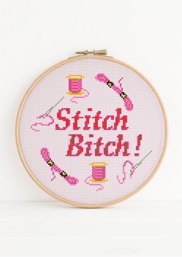 Stitch Bitch for the person in your life that loves to sew. Cross Stitch hoop. created by NaviStitch