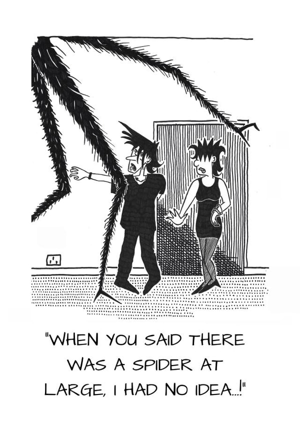 Any occasion - any recipient - spider at large. created by The Doldrums