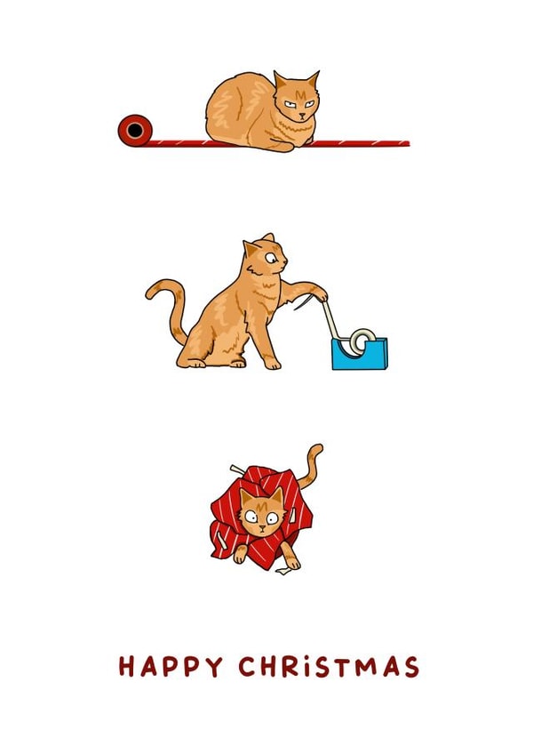 Funny Christmas Card - Cat in Wrapping Paper created by Send Salutations