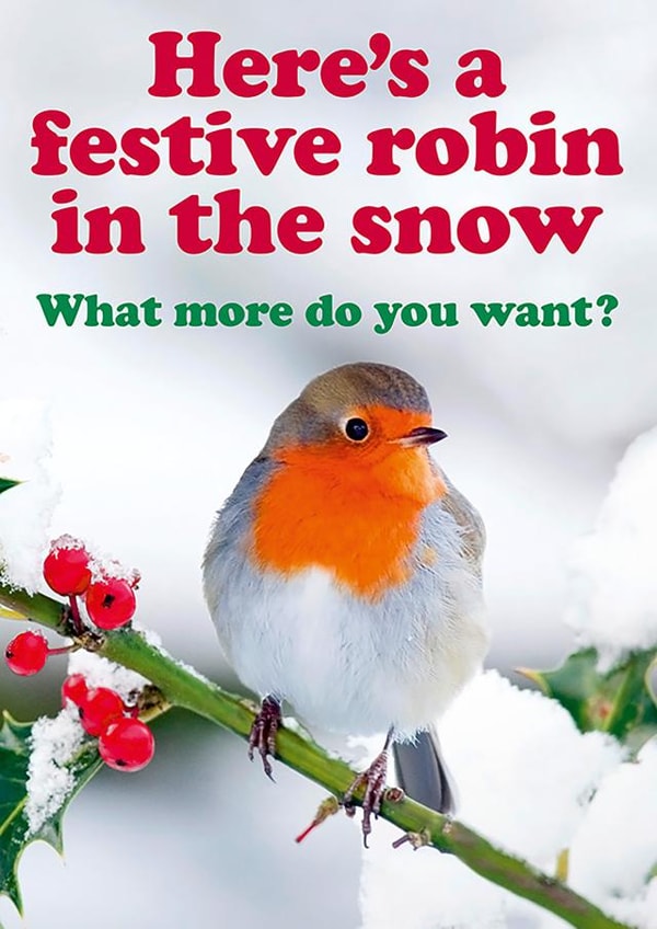 Cute and Cheeky Christmas card - Festive robin in the snow. created by Dean Morris Cards