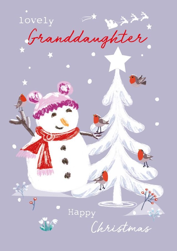 Cute Christmas Card - Granddaughter - Snowman and Robins created by SABIVO Design by Sabina