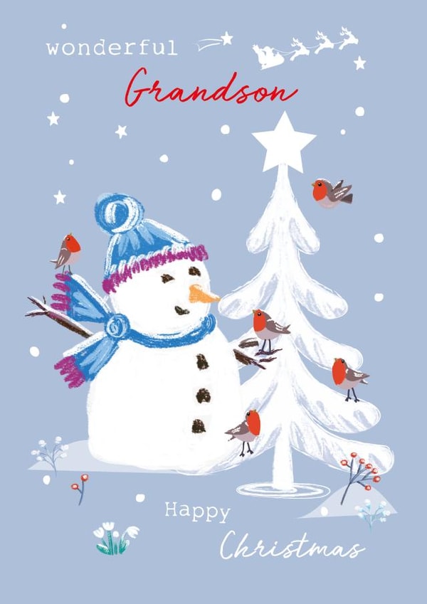 Cute Christmas Card - Grandson - Snowman and Robins created by SABIVO Design by Sabina