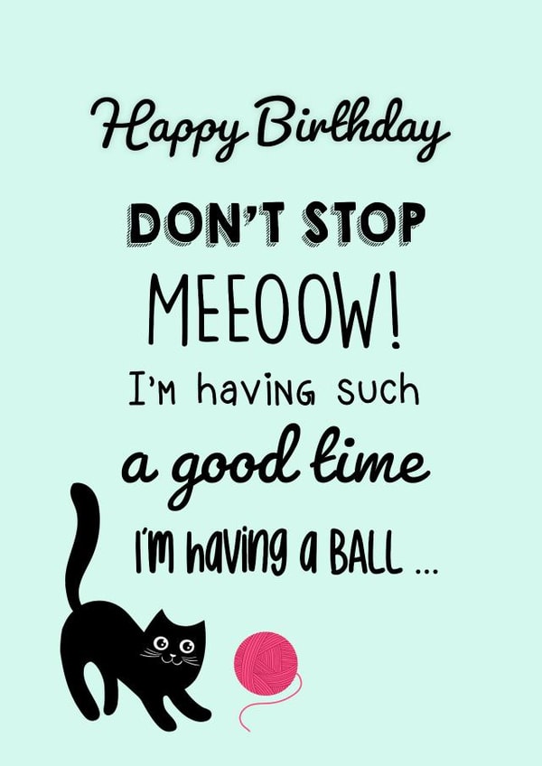Funny Cat Birthday Card for Cat Lover - Don't Stop MEEOOW! created by The Chick & the Duck