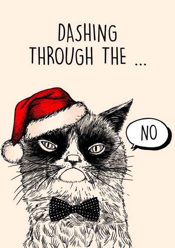 Funny Christmas Card - Dashing through the NO - Angry Cat created by Poppy & Mabel