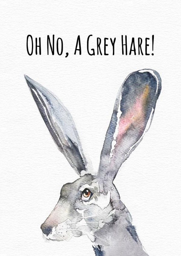 A Grey Hare Birthday Card - Punny Age Joke created by Jo Scott Art
