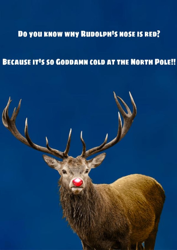 Christmas Rudolph the red nose reindeer created by Sarah Brickland