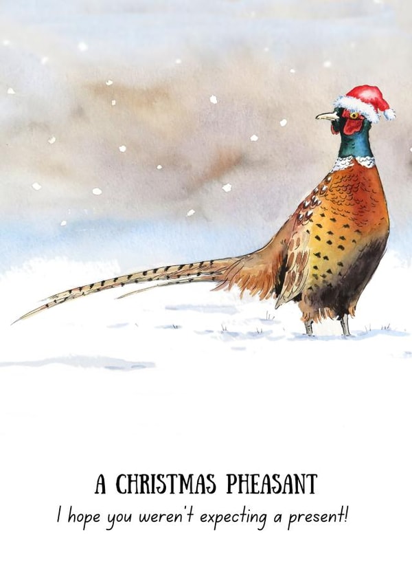 Christmas pheasant card - Funny - Hope you weren't expecting a present! created by Kate Garrett