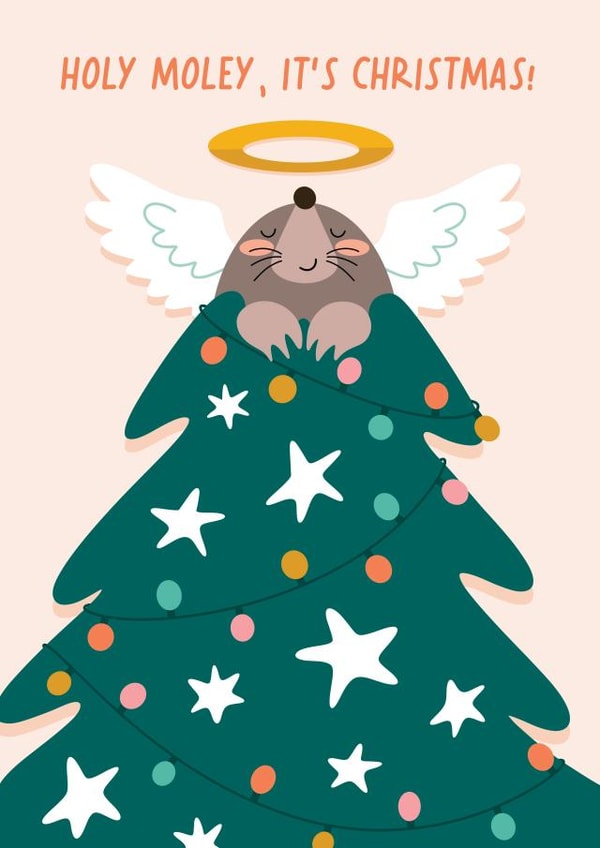Cute Funny Christmas Card - Holy Moly Pun created by Immy Illustrates