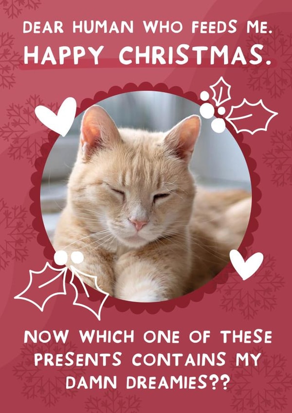 Cute Christmas Photo Card - From the cat - Funny Dreamies Cat created by Two For Joy Illustration