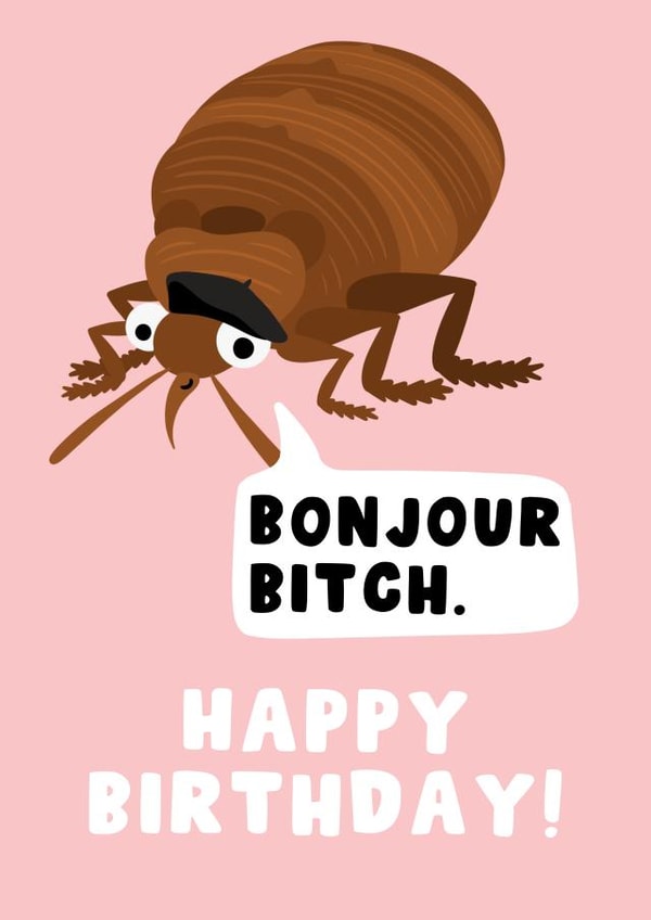 Funny Birthday Card - Bed Bugs - Bonjour Bitch created by Pink Peach Cards