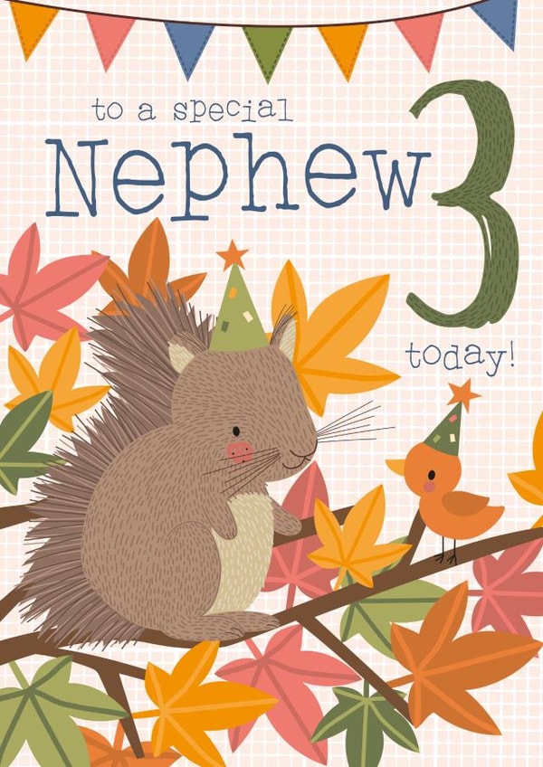 Cute Squirrel Woodland design - 3 Today - for Nephew created by Juniper and Rose Studio