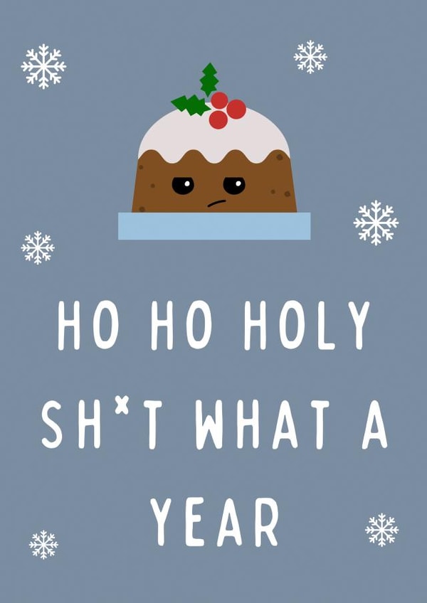 Ho Ho Holy Sh*t What A Year Funny Christmas Card created by Hint of Sarcasm