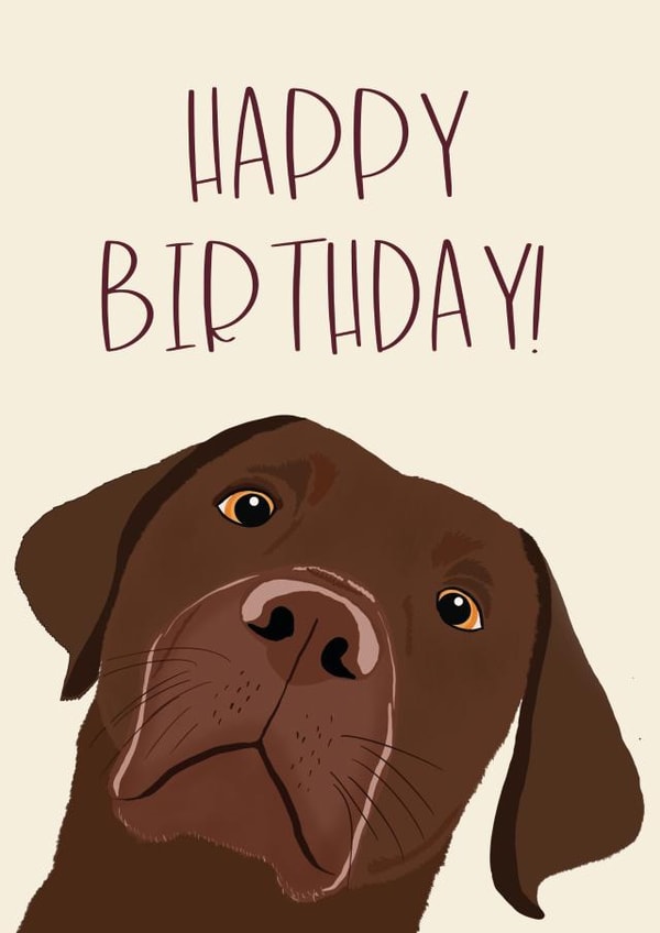 Super cute Birthday dog card - Brown Labrador! created by Jasmin