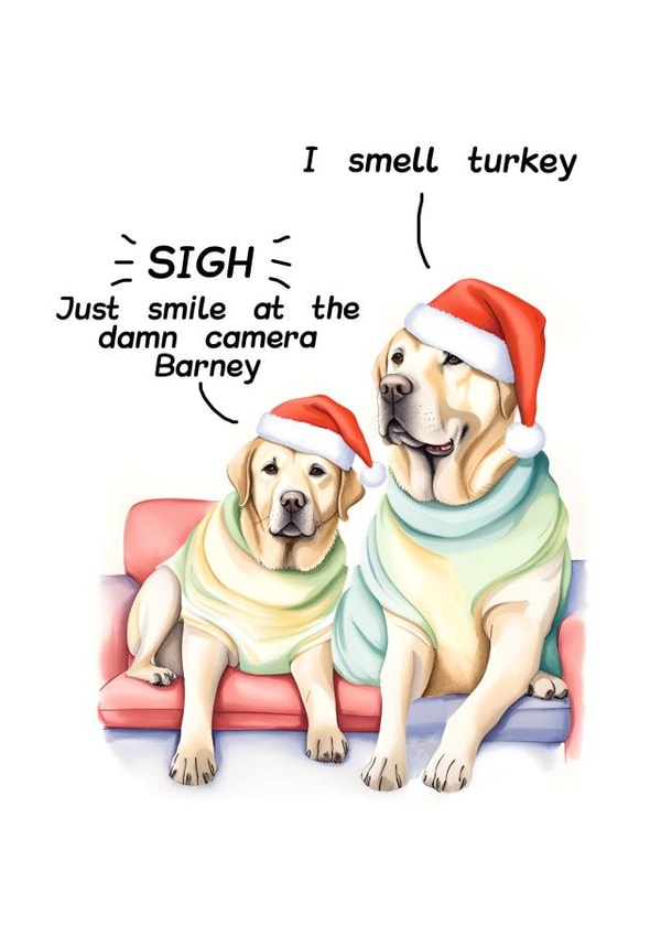 Cute dog couple on Christmas Day - sarcastic family photo created by crackerjack