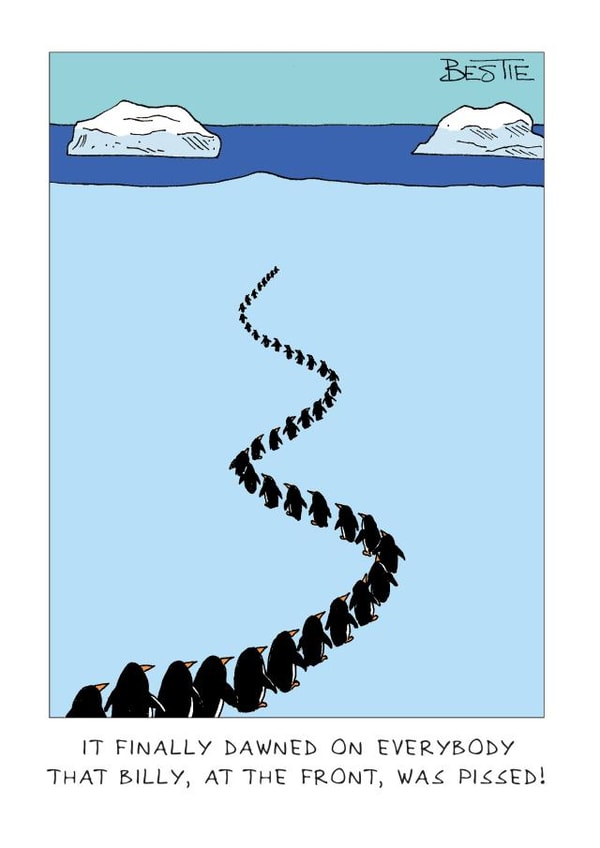 Funny Penguin Card - Pissed - Drunk created by Paperlink and Meraki Greeting Cards