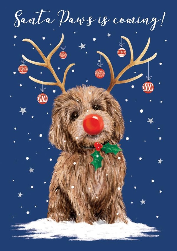 Cute Cockapoo Christmas Card - Santa Claus is coming - Dog - From the Dog created by Di Brookes Design