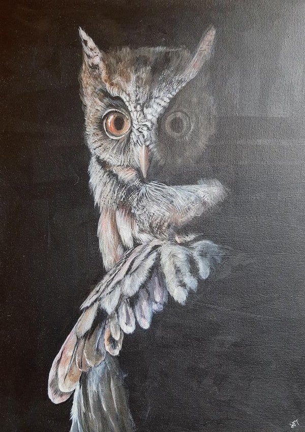 Beautiful painting for a wise owl created by Sally Taylor