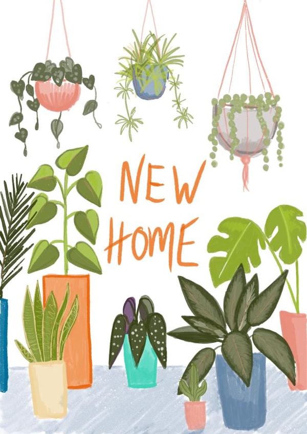 Pretty Illustrated New home card - for plant lover created by Stephanie Webb-Bowen