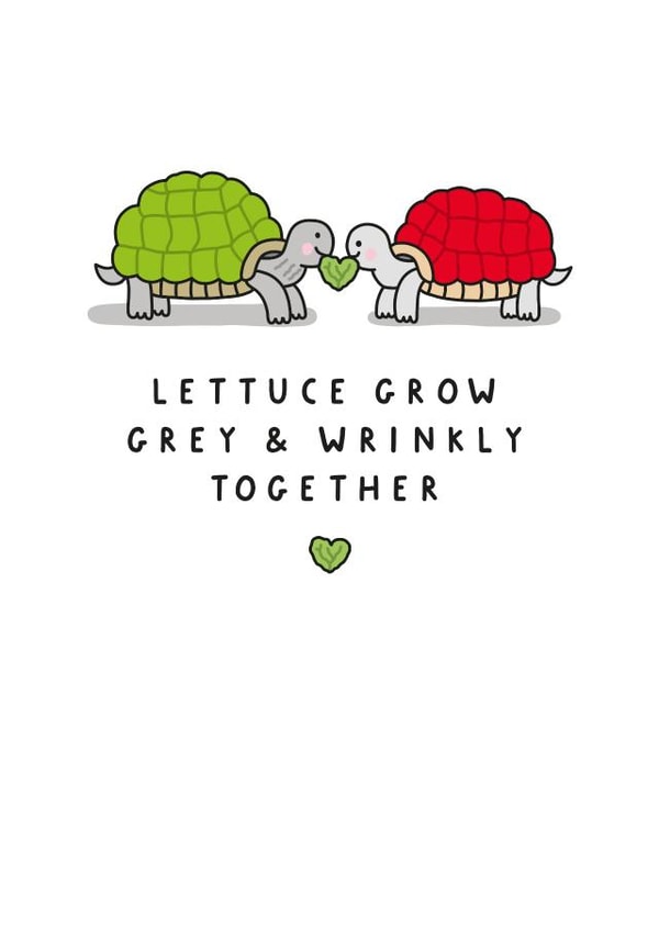 Funny Valentine's Day Card - Lettuce Grow Grey And Wrinkly Together - Tortoise created by mungo and shoddy