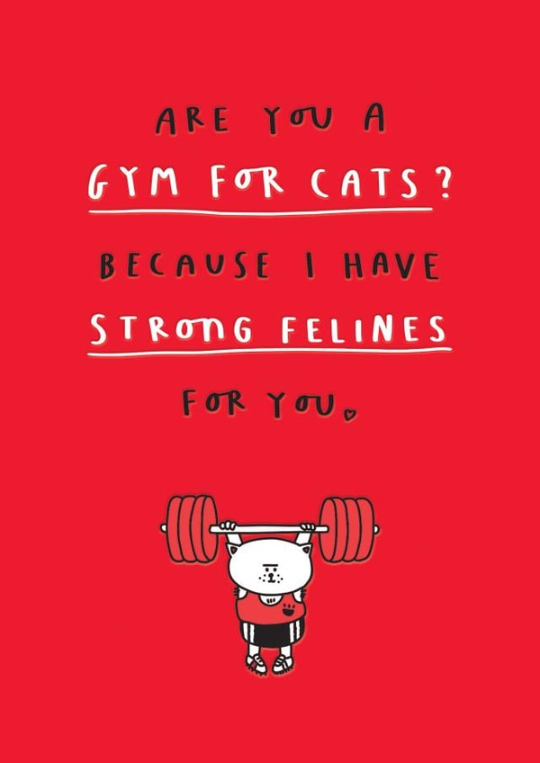 Funny Valentine Card - Are You A Gym For Cats? created by mungo and shoddy