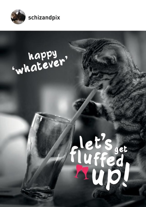 Funny cat themed multi-purpose card for any occasion. Let's get fluffed up created by Paul O'Connor