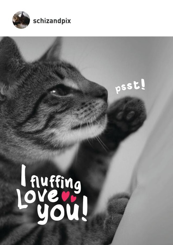 Cute funny cat themed valentines day card for the cat lover in your life! created by Paul O'Connor