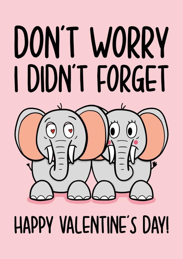 Cheeky Elephant Valentines Day Card - Didn't Forget! created by TeePee Creations