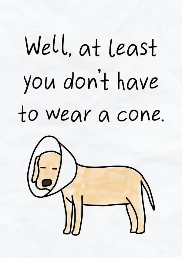 Funny Get Well Soon Card - Get Better Soon - Dog With A Cone created by Silly Billy