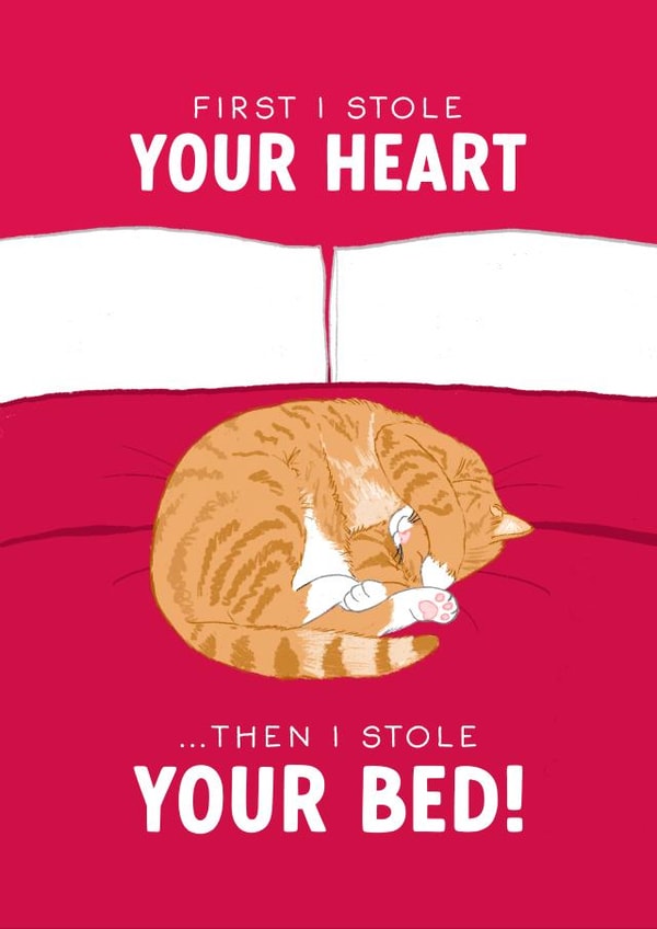 Funny Valentine's Day Card - From the Cat - Stole Your Bed created by The Cake Thief