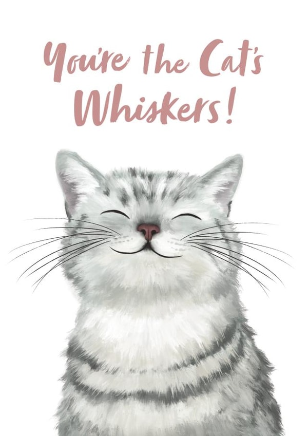 Cute Illustrated Cat Card - Thank You, Birthday created by Debbie Daley Illustrations