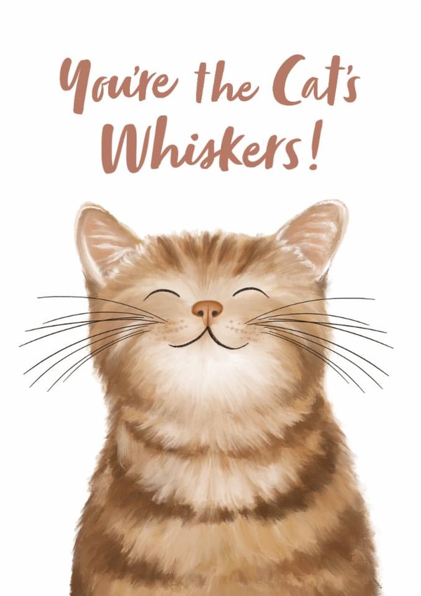 Cute Illustrated Cat Card - Thank You, Birthday created by Debbie Daley Illustrations