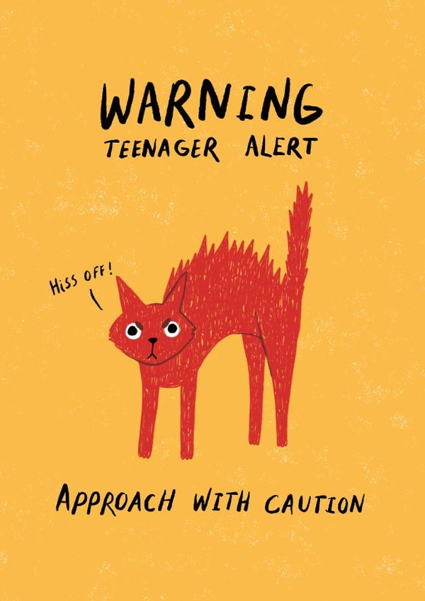 Funny Birthday Card - Teenager Alert - Caution created by Dandelion Stationery