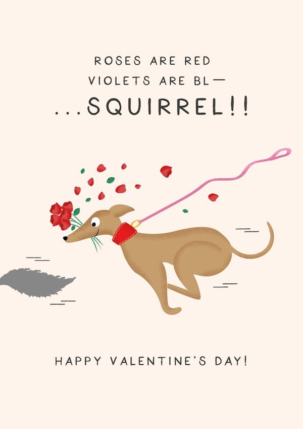 Funny Valentine's Day Card - From the Dog - Squirrel! created by Studio Mads