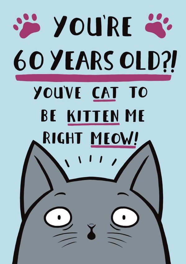 Funny Cat Pun Birthday Card - 60th created by Jimmy Doodle