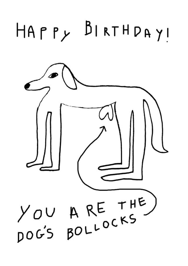 Funny Birthday Card for Him - Happy birthday! You are ‘The Dog’s Bollocks.’ created by Well'ard Cards