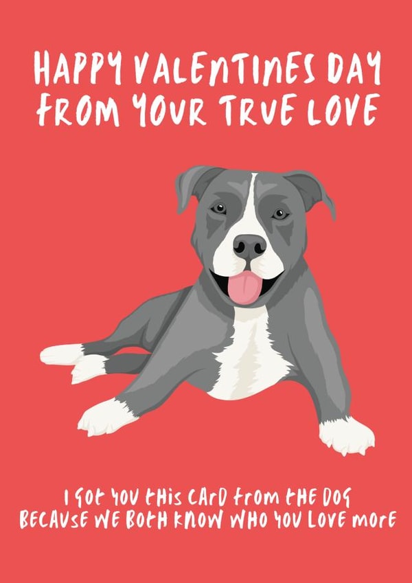 Cute Valentines Day Card - From the Dog created by Kick & Sniff