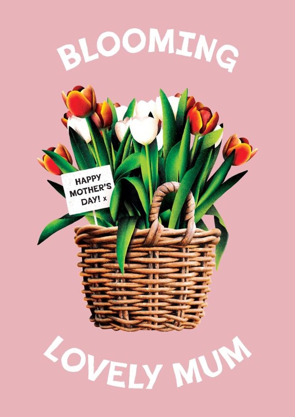 Blooming Lovely Mum - Happy Mother's Day - Tulips created by Folio | Ian Owen