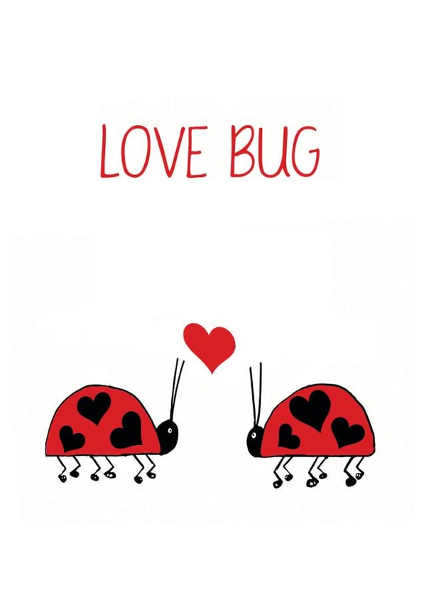 valentines day
love bug
love you
insect
complete me
ladybird
anniversary created by Olivia Morgan ltd
